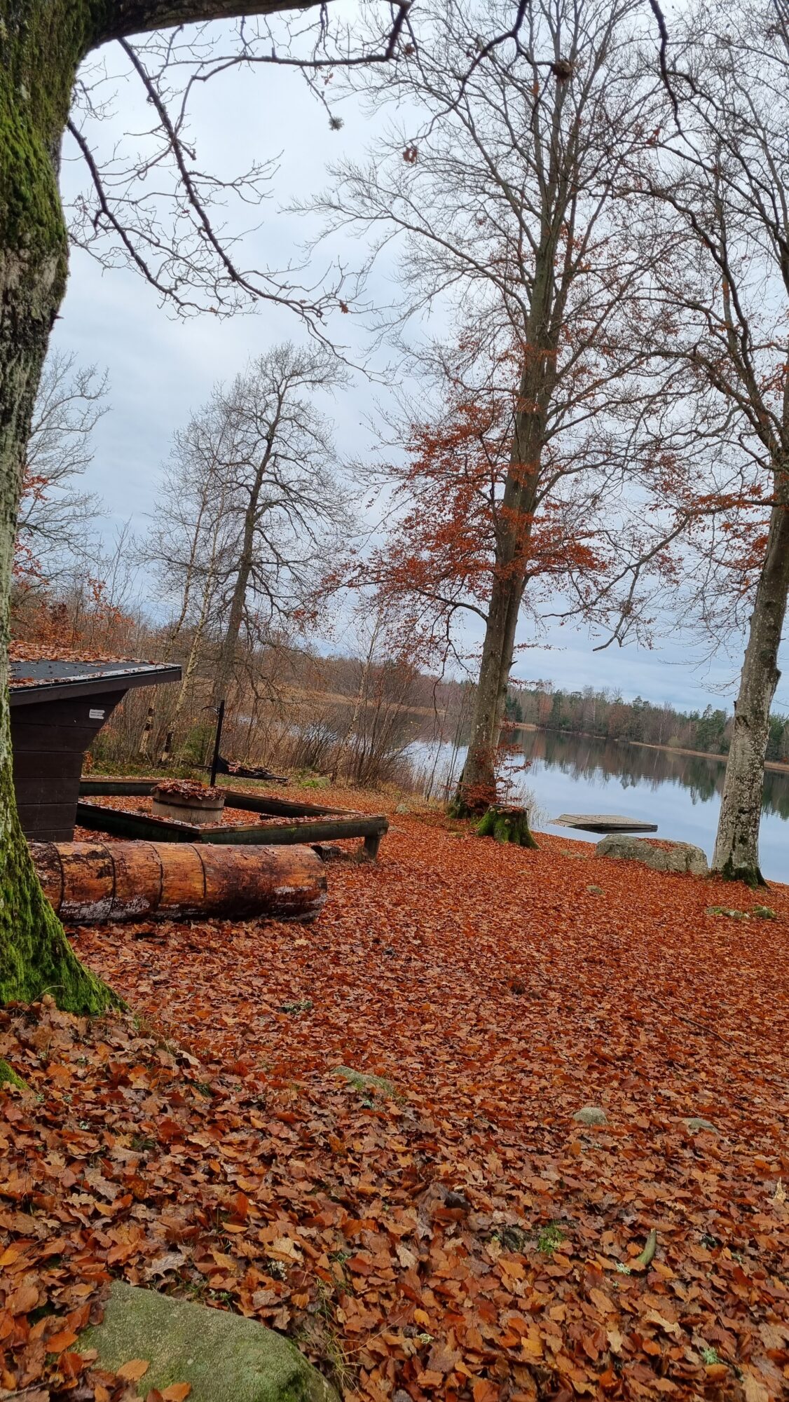 Herbst, - Oster- oder Pfingstlager auf Blidingsholm